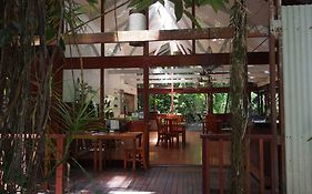 Daintree Wilderness Lodge